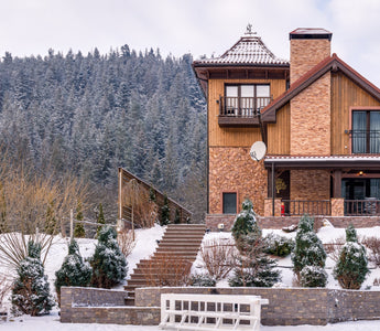 Winter Flower Gardens: Design Ideas for the Frosty Months