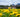 Aries Birth Flowers: The Ultimate Guide to Their Meanings