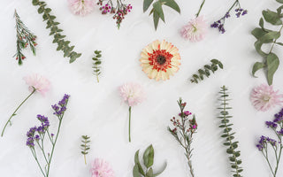 What Is My Birthday Flower Zodiac? Discover Your Floral Sign