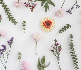 What Is My Birthday Flower Zodiac? Discover Your Floral Sign