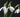 Snowdrop Flower Meaning: Symbolism of Hope and Renewal